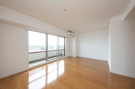 �͓c���R���t�H�K�[�f�������ʐ^