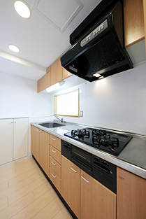 �͓c���R���t�H�K�[�f�������ʐ^