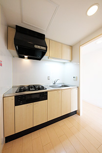 �͓c���R���t�H�K�[�f�������ʐ^