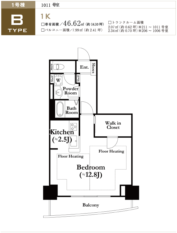 1B^Cv1011