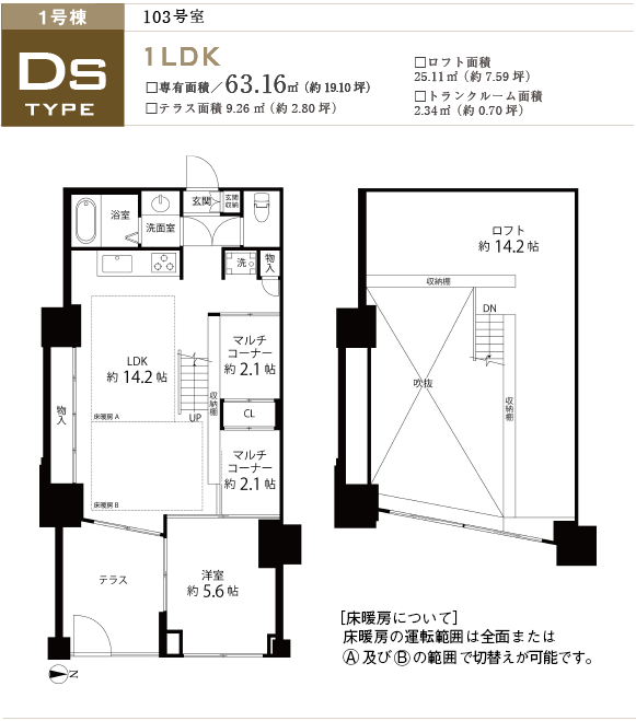 1Ds^Cv103